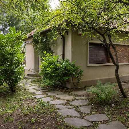 Belvedere House 브라쇼브